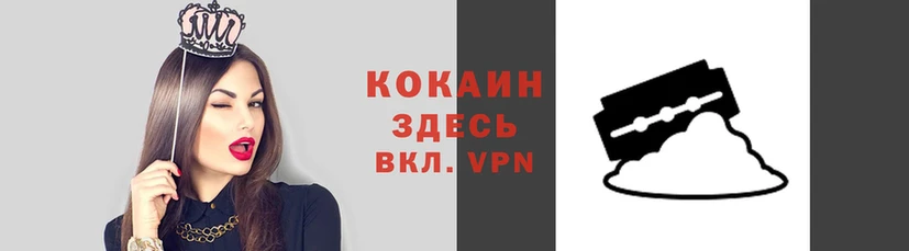 стафф Алексин