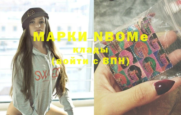 стафф Алексин