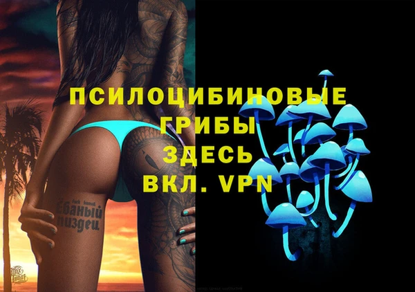 PSILOCYBIN Алексеевка