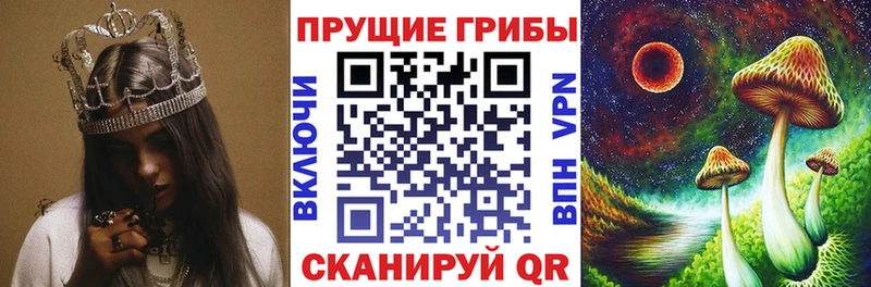 Псилоцибиновые грибы Magic Shrooms  наркота  Болотное 